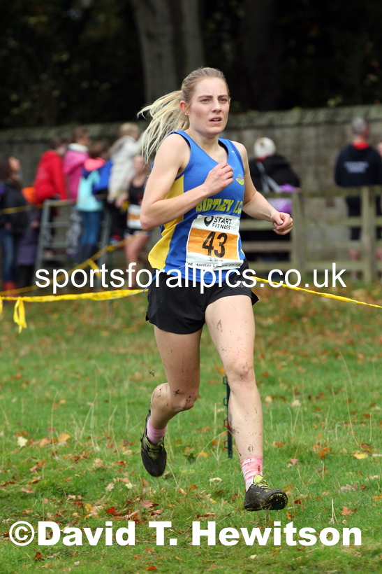 Senior womens 2021 NEHL Lambton Castle near Chester le Street, County Durham. Photo: David T. Hewitson/Sports for All Pics